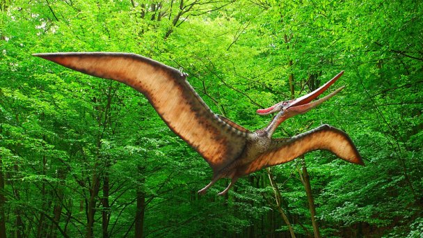 Dino Park Autor: DinoTeam źródło: https://upload.wikimedia.org/wikipedia/commons/c/c8/Pteranodon%2C_DinoPark_Ko%C5%A1ice.jpg