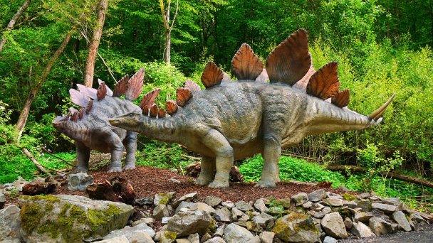 Dino Park Autor: DinoTeam źródło: https://upload.wikimedia.org/wikipedia/commons/b/ba/Stegosaurus_02_DinoPark_Ko%C5%A1ice.jpg