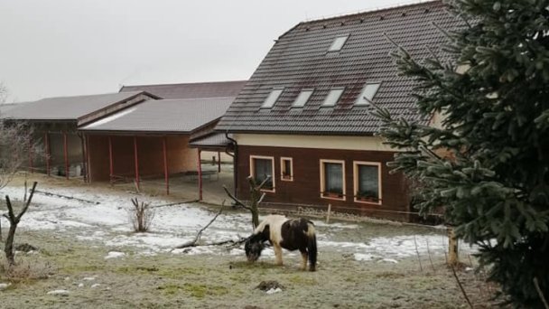 Gazdovský dvor 4 źródło: https://scontent-vie1-1.xx.fbcdn.net/v/t1.0-9/83888325_3751112718233033_7856771378081431552_n.jpg?_nc_cat=106&_nc_sid=110474&_nc_oc=AQnFjvIarHzReGlP-tmj4nx9bpA29tuUWcO2W0vPwuWvFJyAO4iCVsN9DumYG_5yR7c&_nc_ht=scontent-vie1-1.xx&oh=22c3d1029825395f298b6d8713d15b3f&oe=5ECDF729&dl=1 Gazdovský dvor 4 źródło: https://scontent-vie1-1.xx.fbcdn.net/v/t1.0-9/83888325_3751112718233033_7856771378081431552_n.jpg?_nc_cat=106&_nc_sid=110474&_nc_oc=AQnFjvIarHzReGlP-tmj4nx9bpA29tuUWcO2W0vPwuWvFJyAO4iCVsN9DumYG_5yR7c&_nc_ht=scontent-vie1-1.xx&oh=22c3d1029825395f298b6d8713d15b3f&oe=5ECDF729&dl=1