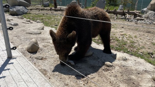 Kontakt do ZOO 5
