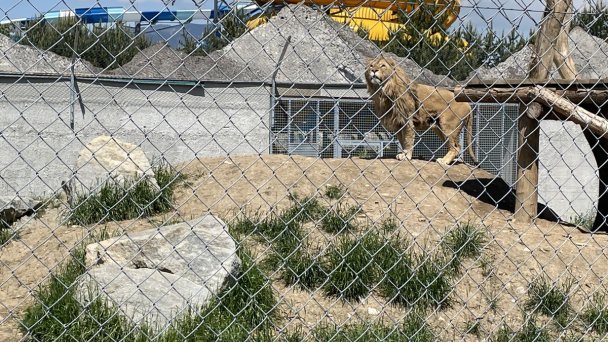 Kontakt do ZOO 15