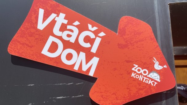 Kontakt do ZOO 11