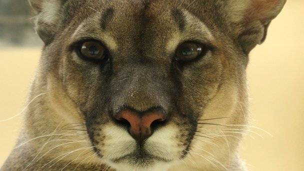 Zoo Spišská Nová Ves 5