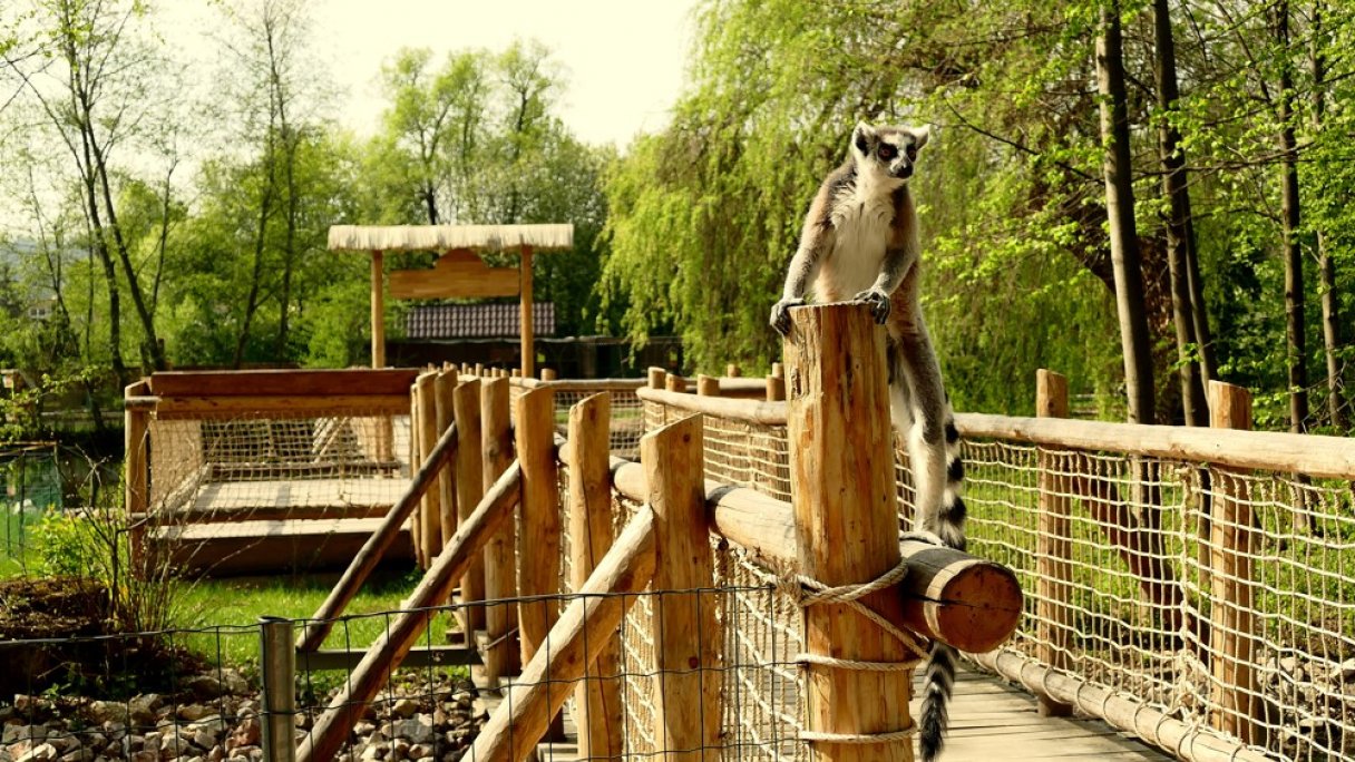 Zoo Spišská Nová Ves 1