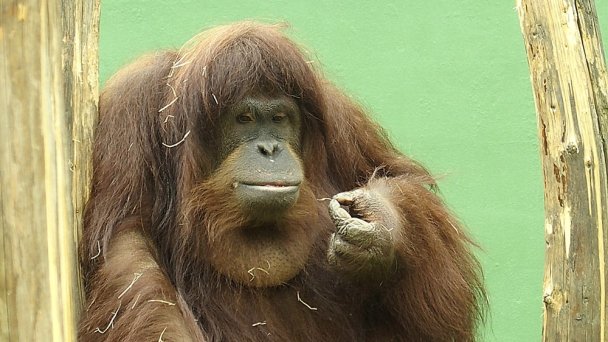 Zoo Spišská Nová Ves 3