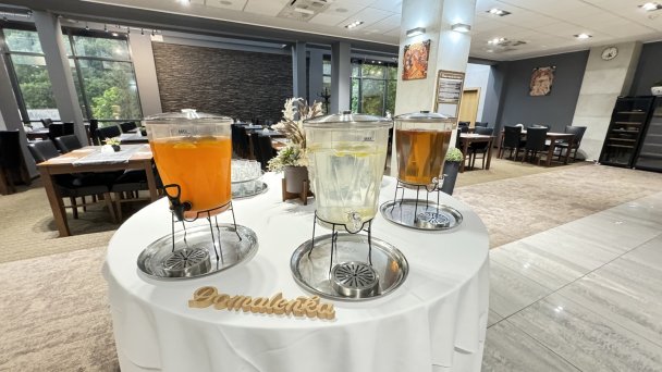 Hotel Alexander **** Bardejov 27