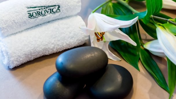 Wellness hotel Borovica ****  Szczyrbskie Jezioro 93