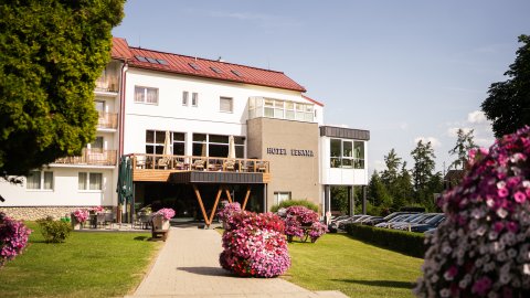 Hotel Lesana *** Stará Lesná