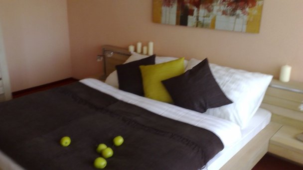 Hotel Relax *** + Rajeckie Teplice 11
