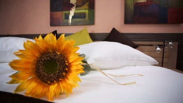 Hotel Relax *** + Rajeckie Teplice 13