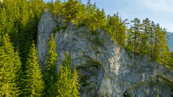 Wellness Hotel Repiská *** Demianowskia Dolinia 63