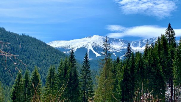 Wellness Hotel Repiská *** Demianowskia Dolinia 61