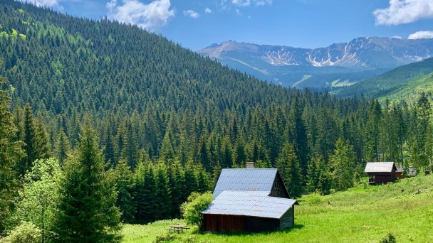 Wellness Hotel Repiská *** Demianowskia Dolinia 58