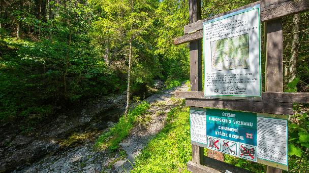 Wellness Hotel Repiská *** Demianowskia Dolinia 59
