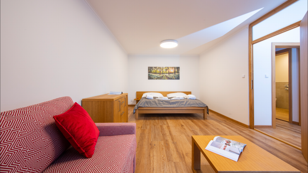 Wellness Hotel Repiská *** Demianowskia Dolinia 23