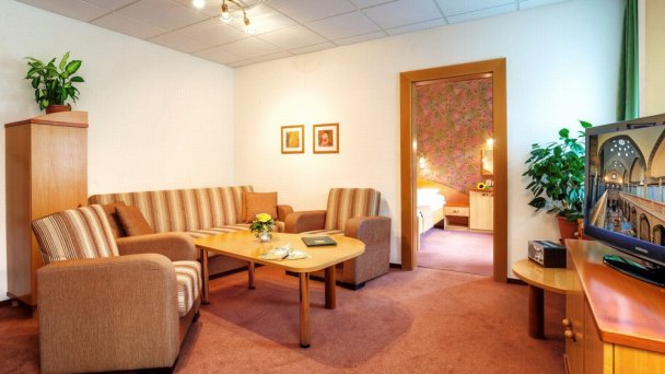 Hotel Flóra *** Trenczańskie Teplice 7
