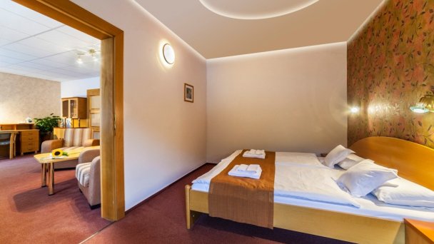 Hotel Flóra *** Trenczańskie Teplice 2