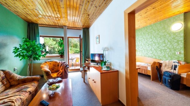 Hotel Flóra *** Trenczańskie Teplice 21