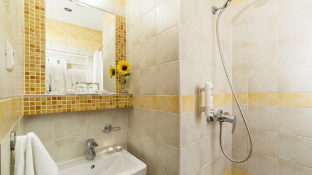 Hotel Flóra *** Trenczańskie Teplice 23