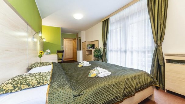 Hotel Flóra *** Trenczańskie Teplice 18
