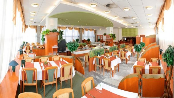 Hotel Flóra *** Trenczańskie Teplice 32