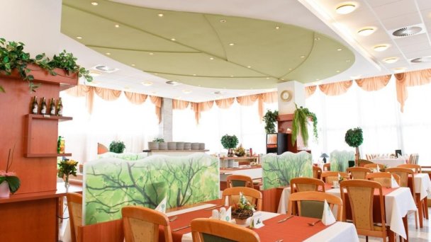Hotel Flóra *** Trenczańskie Teplice 31