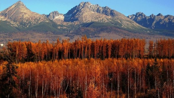 Hotel Avalanche *** Štôla, Wysokie Tatry 5