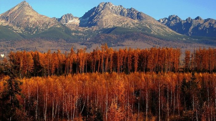 Jesienny pobyt w malowniczej tatrzańskiej miejscowości bezpośrednio pod najwyższym szczytem Tatr
