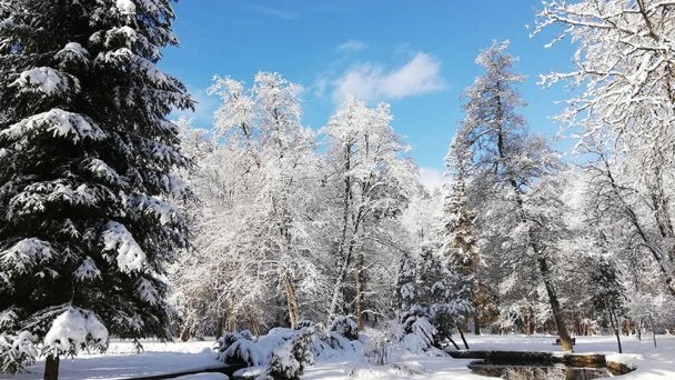 Uzdrowisko Brusno 123
