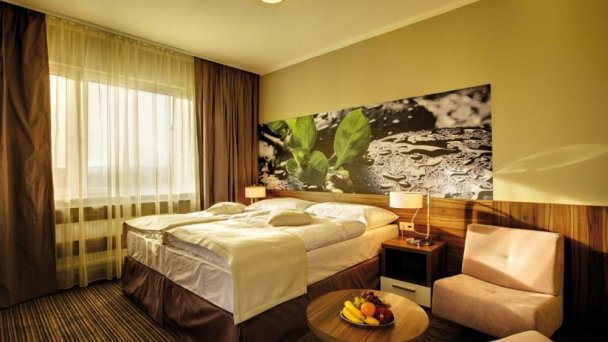 Hotel Mineral Dudince 2