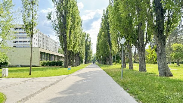 Skrzydło Alameda, Esplanade Ensana Health Spa Hotel ****  51
