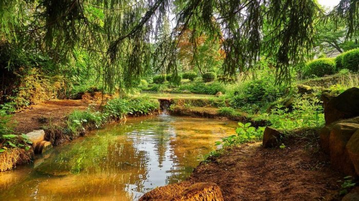 Moc kąpieli leśnych: całkowity restart w uzdrowisku Sliač