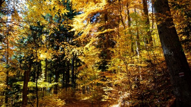 Uzdrowisko Štós 16