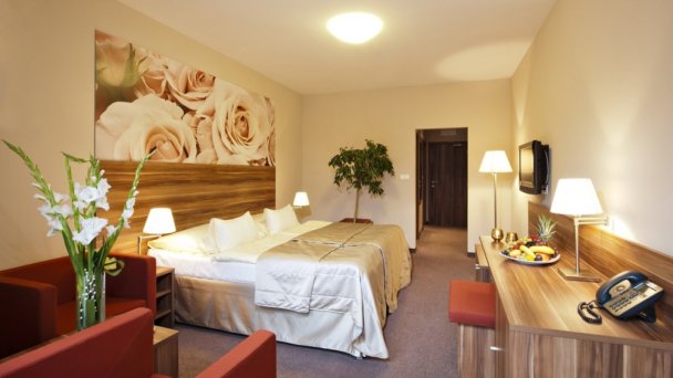 Hotel uzdrowiskowy Veľká Fatra **** Turczańskie Teplice 13