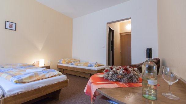 Hotel górski Teplica * Brezovica TYMCZASOWO ZAMKNIĘTA REKONSTRUKCJA 19