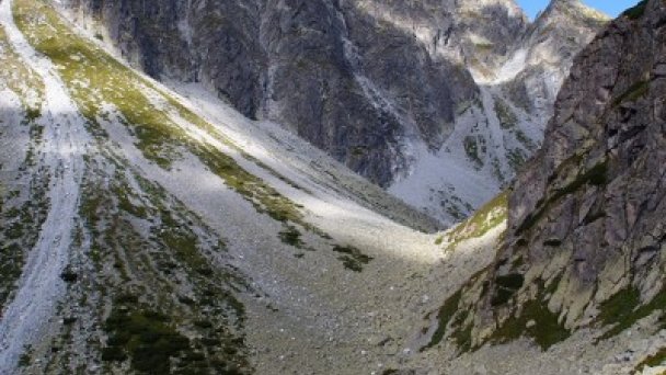 Test Mentorko 6