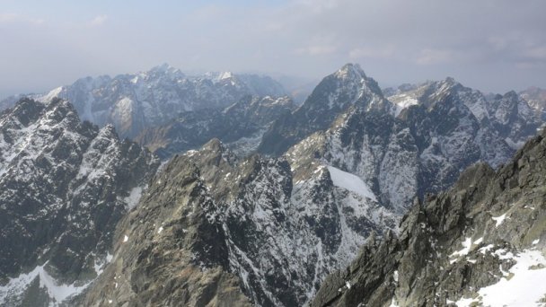 Tarcza Gerlacha 3