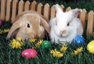 Wielkanoc w Parku Termalnym na falach relaksu