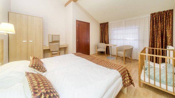 Wellness hotel Patince ****  37