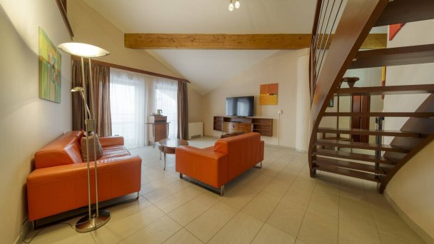 Wellness hotel Patince ****  50