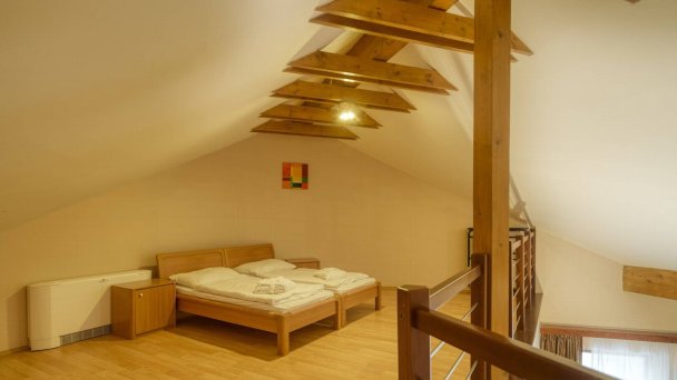 Wellness hotel Patince ****  49