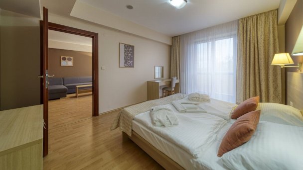 Wellness hotel Patince ****  41