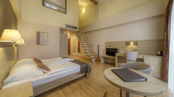 Wellness hotel Patince ****  38