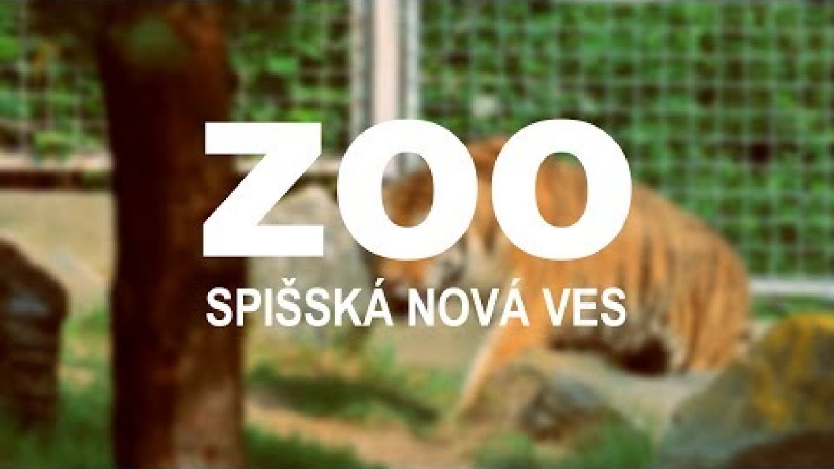 ZOO Spišská Nová Ves - Oficialne Promo 2017 Autor: Flux Films źródło: https://www.youtube.com/@fluxfilms4172