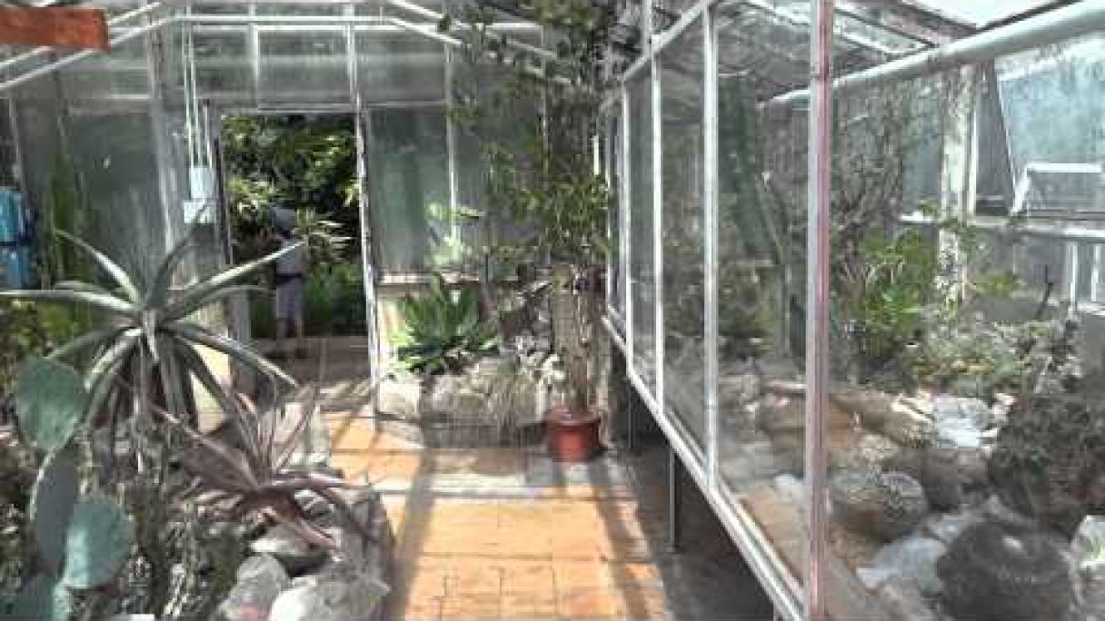 Botanická záhrada UPJŠ v Košiciach Autor: feriko53 źródło: https://www.youtube.com/@feriko53 Botanická záhrada UPJŠ v Košiciach Autor: feriko53 źródło: https://www.youtube.com/@feriko53