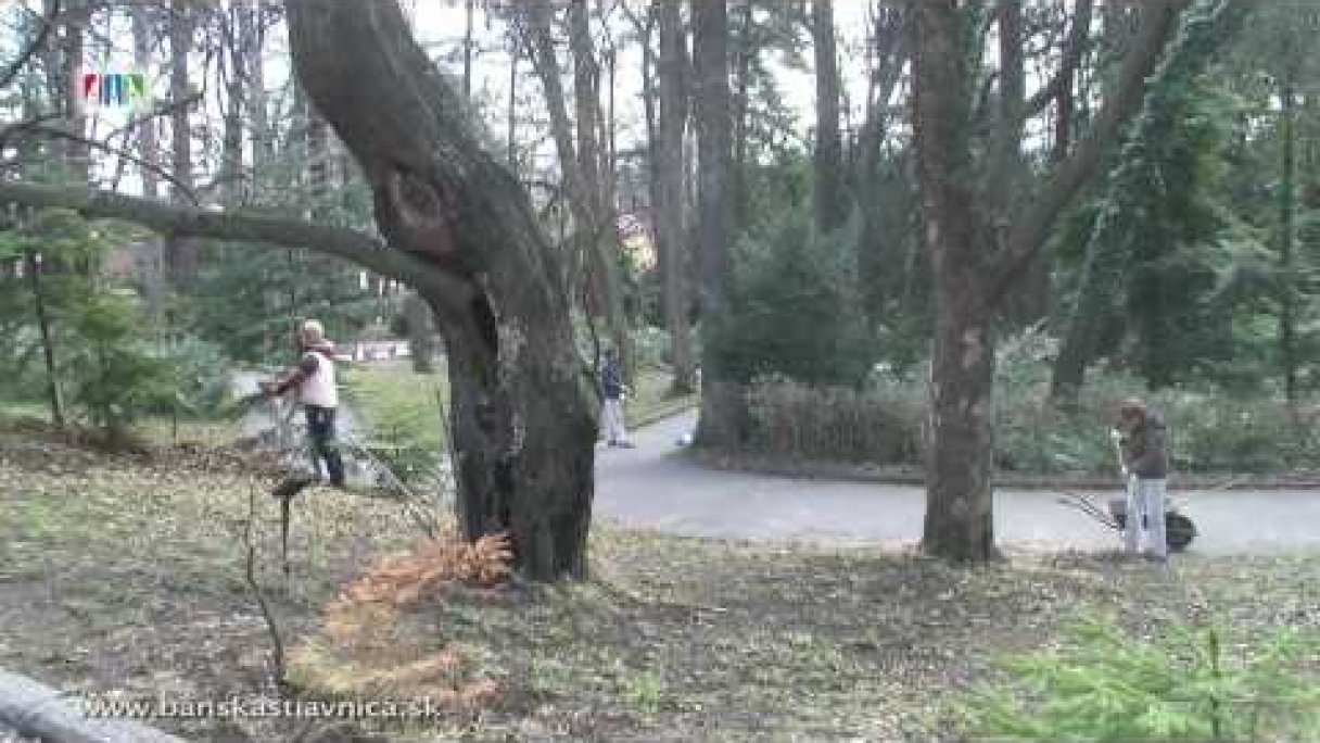 Jarná Brigáda dobrovoľníkov v Botanickej záhrade Autor: Mluvicioko źródło: https://www.youtube.com/@Mluvicioko