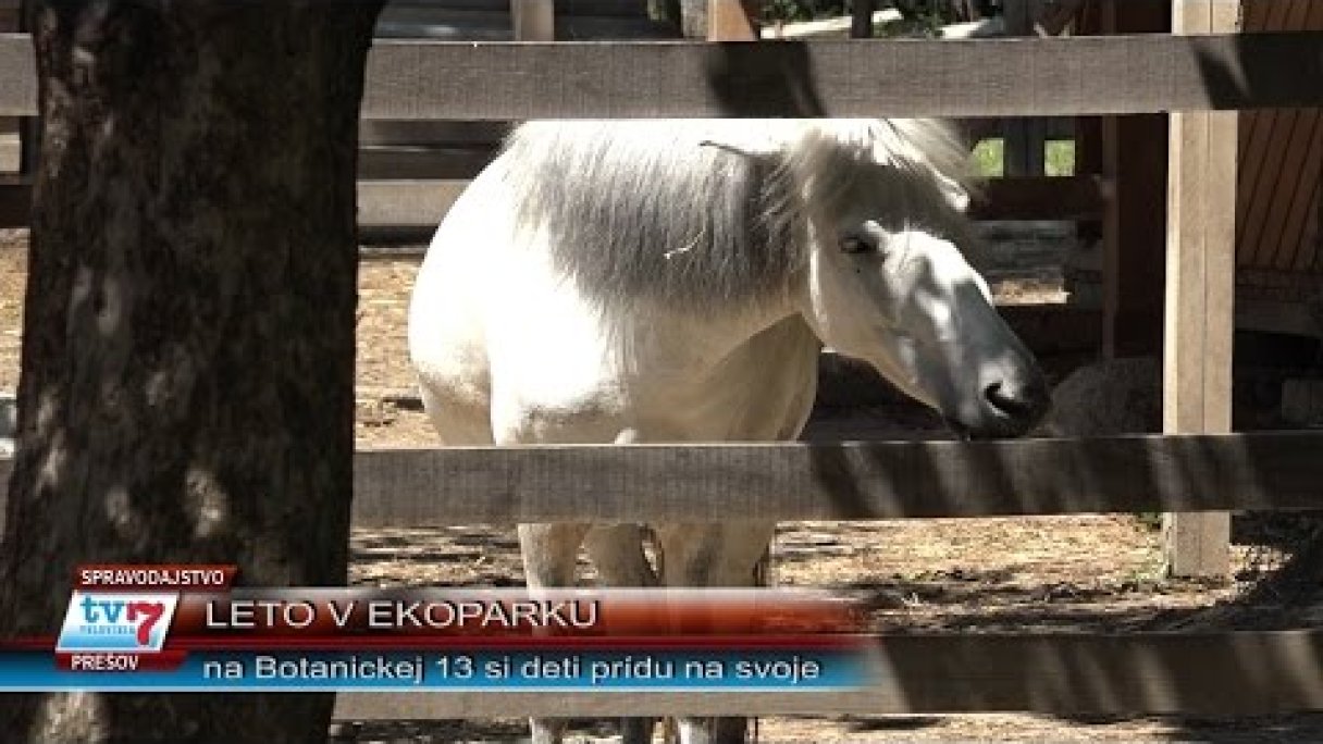 Leto v Ekoparku Autor: televiziaTV7 źródło: https://www.youtube.com/@televiziaTV7