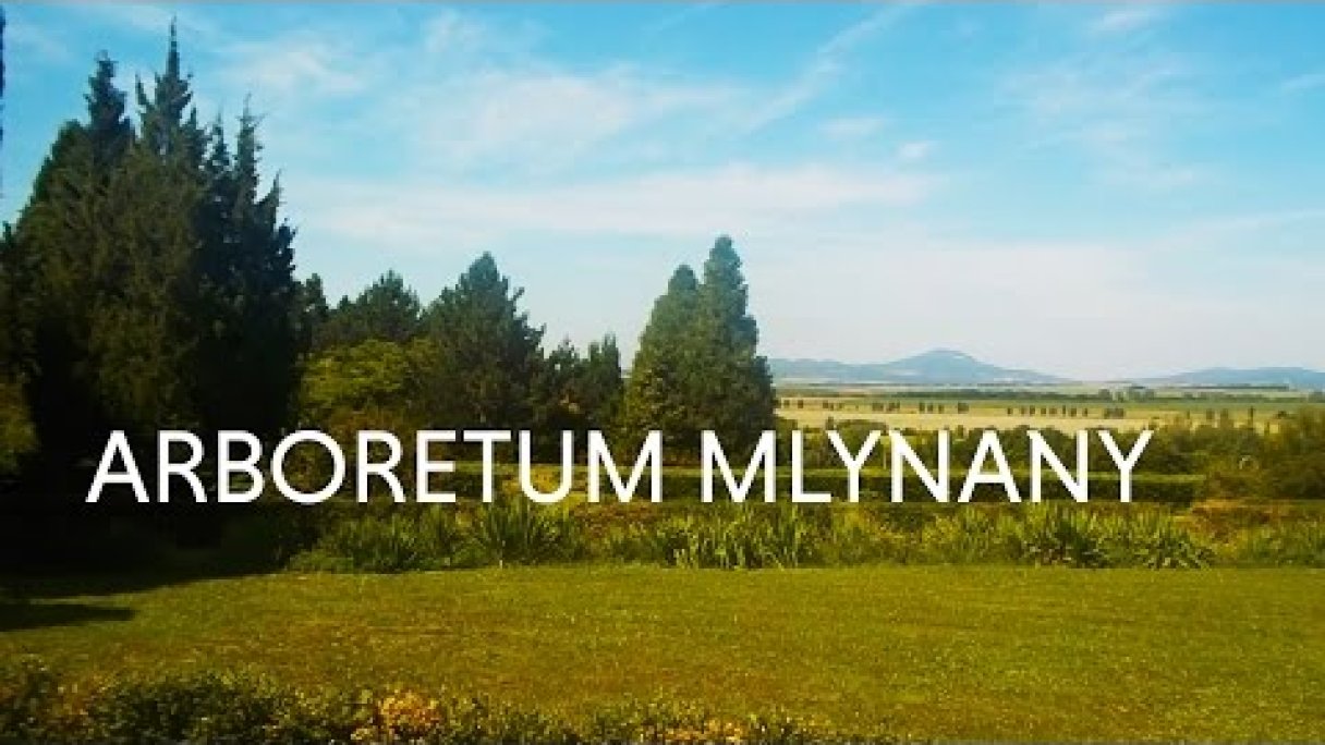 BOTANICAL GARDEN IN MIDDLE OF NOWHERE - MLYNANY, SLOVAKIA (EUROPE) Autor: inspiratioon_com źródło: https://www.youtube.com/@inspiratioon_com