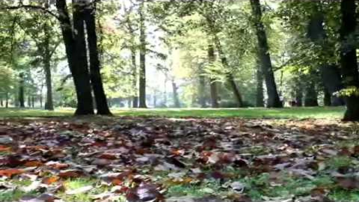Park Jána Baltazára Magina - Dubnický kaštieľ - október 2014 Autor: Dubnický kaštieľ źródło: https://www.youtube.com/@dubnickykastiel9388