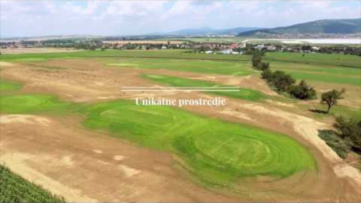 RED OAK Golf Club Autor: RED OAK Golf Club źródło: https://www.youtube.com/@redoakgolfclub7883 RED OAK Golf Club Autor: RED OAK Golf Club źródło: https://www.youtube.com/@redoakgolfclub7883